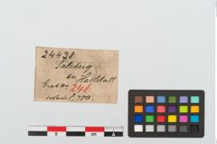 Etiketten zu Bronzekugelkopfnadel (NHMW-PRAE-024438)